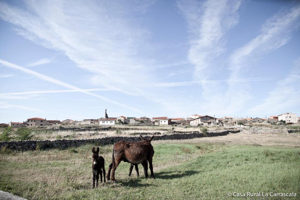 Casa Rural La Carrascala Zamora Dış mekan fotoğraf